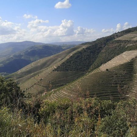 Douro Valley - Casa Da Praca Ervedosa do Douro 外观 照片