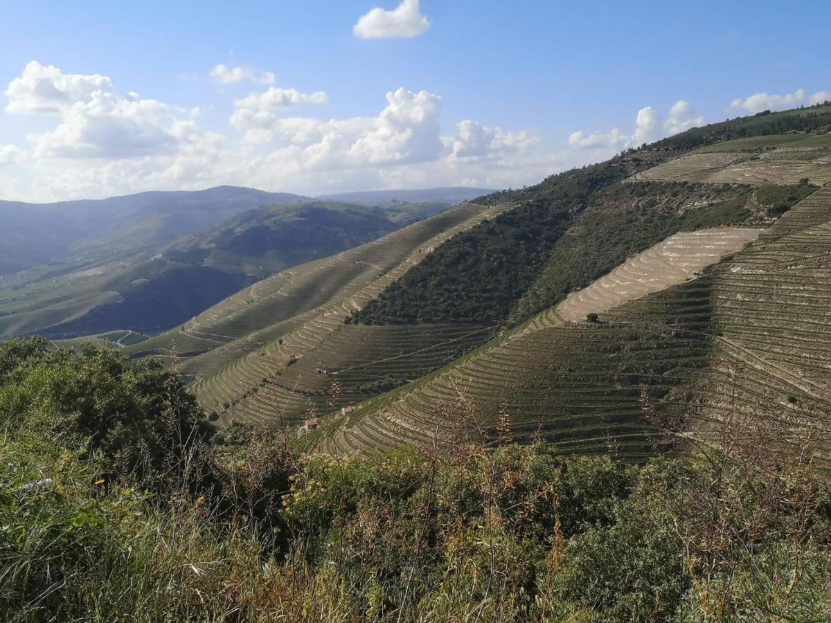Douro Valley - Casa Da Praca Ervedosa do Douro 外观 照片