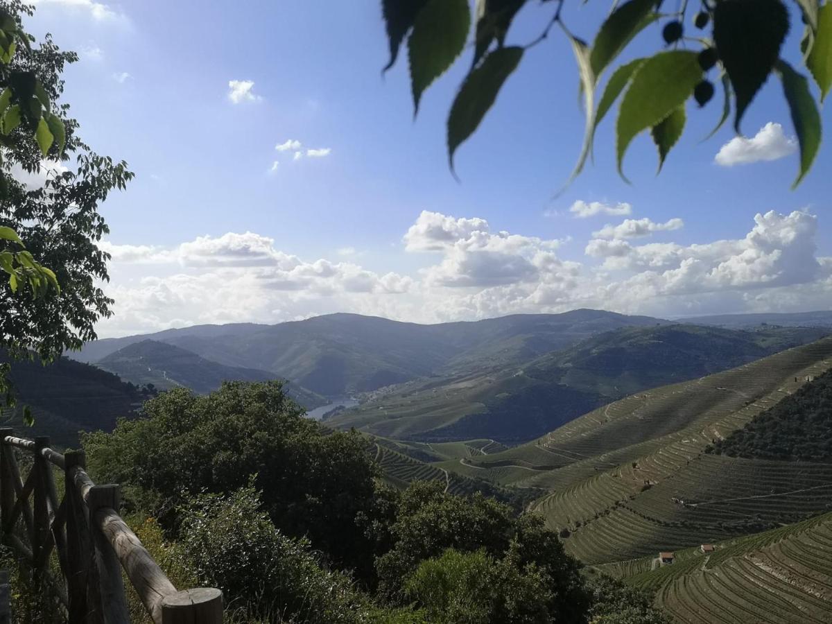 Douro Valley - Casa Da Praca Ervedosa do Douro 外观 照片